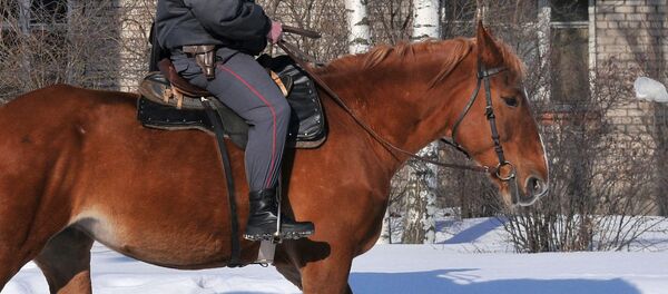 Ат минген милиция кызматкери. Архив Ат минген милиция кызматкери. Архив - Sputnik Кыргызстан