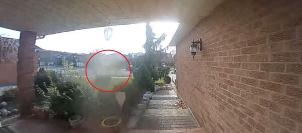 Канадада үйдүн алдында турган камера арбакты тартып алган. Видео - Sputnik Кыргызстан