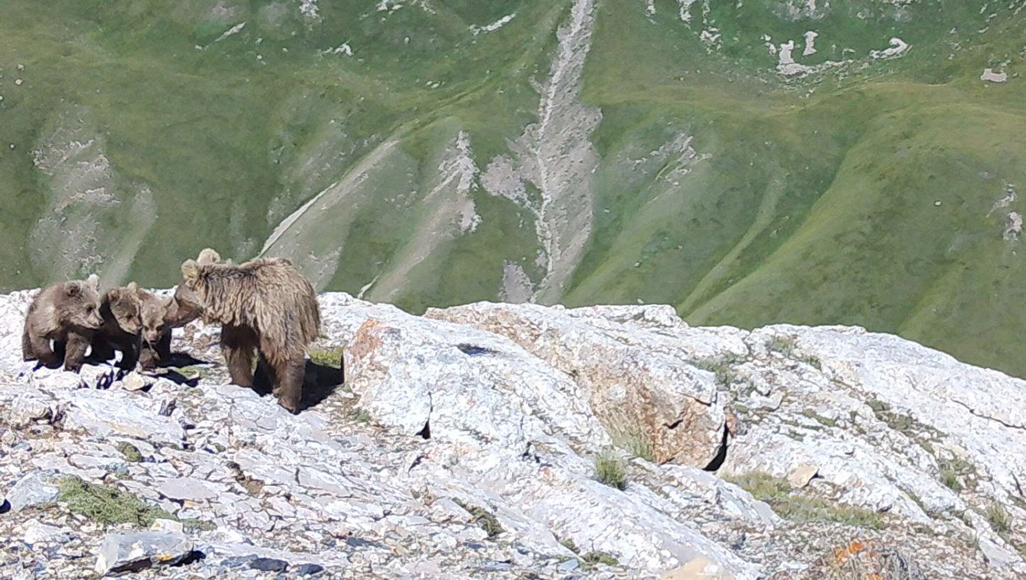 Тыва республика три медведя гора реальное фото