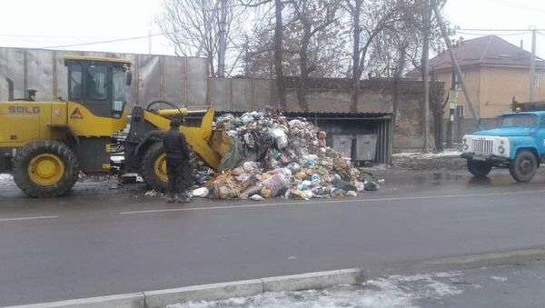 В Бишкеке посреди дороги неизвестные выгрузили гору мусора, что мешало проезду автомобилей - Sputnik Кыргызстан