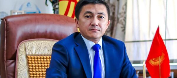 Социалдык фонддун төрагасы Медер Ирсалиев. Архив - Sputnik Кыргызстан