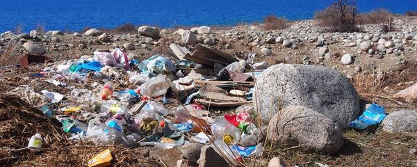 Загрязнения экологии близ озера Иссык-Куль - Sputnik Кыргызстан