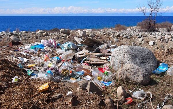 Стихийная мусорная свалка в непосредственной близости от озера Иссык-Куль. - Sputnik Кыргызстан