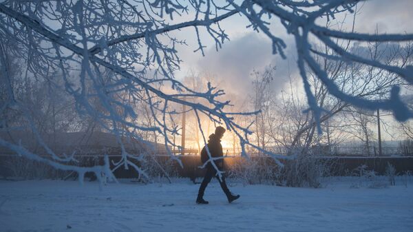 Мужчина идет по улице в морозную погоду. Архивное фото - Sputnik Кыргызстан