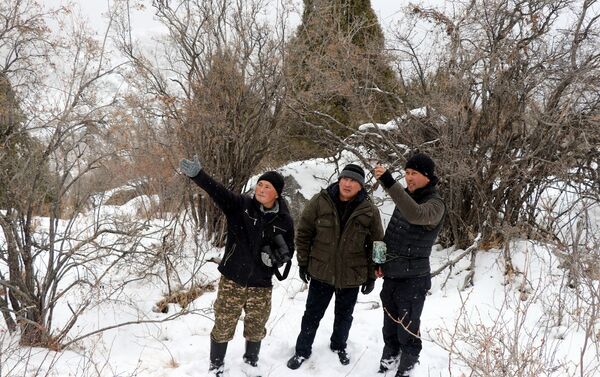 Эми фотокапкан аркылуу жан-жаныбарлардын санын, абалын жакындан таанып билүүгө жол ачылат - Sputnik Кыргызстан
