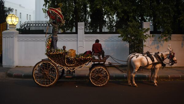 Конная повозка, используемая для свадебного шествия в Индии. Архивное фото - Sputnik Кыргызстан