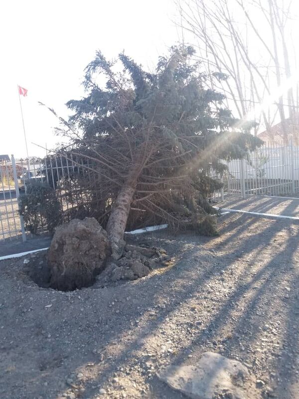 Последствия сильного ветра в Балыкчи - Sputnik Кыргызстан