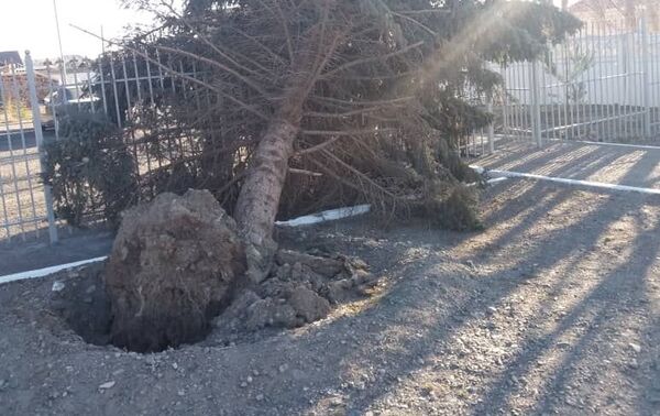 Он снес здания ГОВД, нескольких зданий госорганов и ряда домов, повалил деревья. - Sputnik Кыргызстан