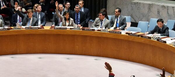 Голосование по ситуации в Керченском проливе в Совбезе ООН. 26 ноября 2018 - Sputnik Кыргызстан