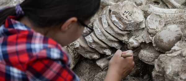 Археологический раскопки в Воронежской области Археологический раскопки в Воронежской области - Sputnik Кыргызстан