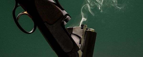 Ружьё. Архивное фото Ружьё. Архивное фото - Sputnik Кыргызстан