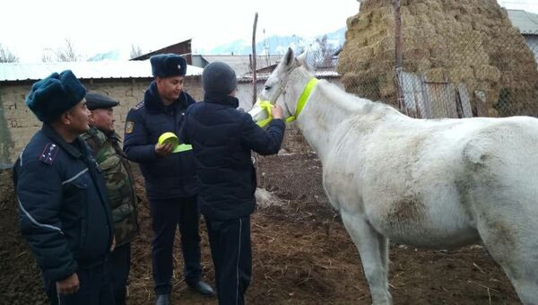 Меры для сокращения числа ДТП в ночное время в селах Ак-Сууйского района - Sputnik Кыргызстан