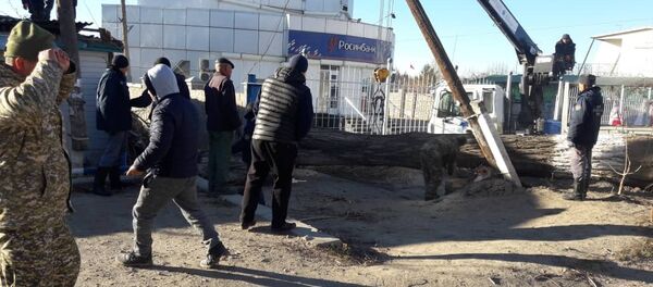 Последствия сильного ветра в Караколе - Sputnik Кыргызстан