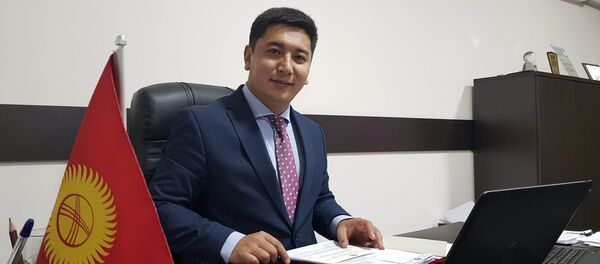 Директор департамента при Минкультуры Максат Дамир уулу - Sputnik Кыргызстан