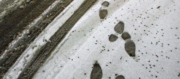 Снег в Иордании - Sputnik Кыргызстан