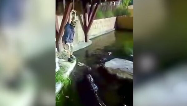 Американец упал с тарзанки в водоем, кишащий крокодилами. Видео - Sputnik Кыргызстан