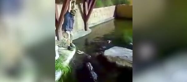 Американец упал с тарзанки в водоем, кишащий крокодилами. Видео - Sputnik Кыргызстан