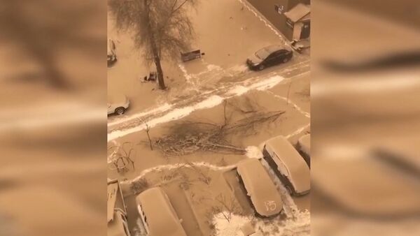В Китае на видео сняли грязный снег — такой же выпал на Иссык-Куле. Фото - Sputnik Кыргызстан
