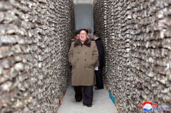 Ким Чен Ын посетил рыбное хозяйство в районе Дунхэ - Sputnik Кыргызстан