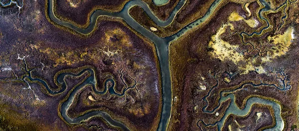 Красочные травы в одном из венецианских каналов на одном из островов Венеции, Италия Красочные травы в одном из венецианских каналов на одном из островов Венеции, Италия - Sputnik Кыргызстан