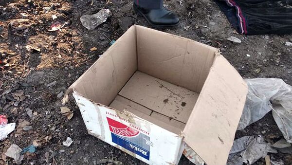 Тело новорожденного обнаружили на мусорном полигоне в Оше - Sputnik Кыргызстан