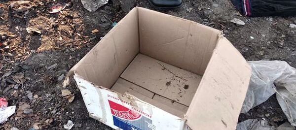 Тело новорожденного обнаружили на мусорном полигоне в Оше - Sputnik Кыргызстан