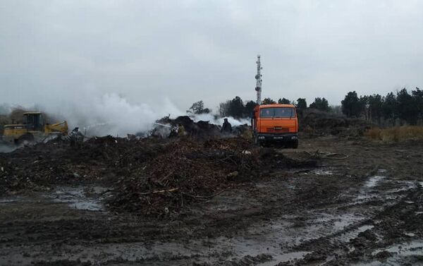 Свидетели пожара на территории МП Бишкекзеленхоз предполагают, что это был поджог, так как возгорание началось одновременно на трех участках оранжереи - Sputnik Кыргызстан