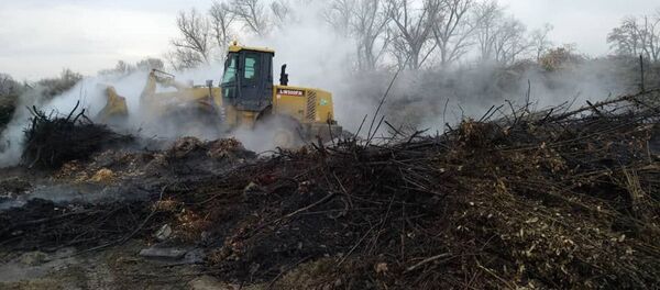 Тушение пожара на территории МП Бишкекзеленхоз - Sputnik Кыргызстан