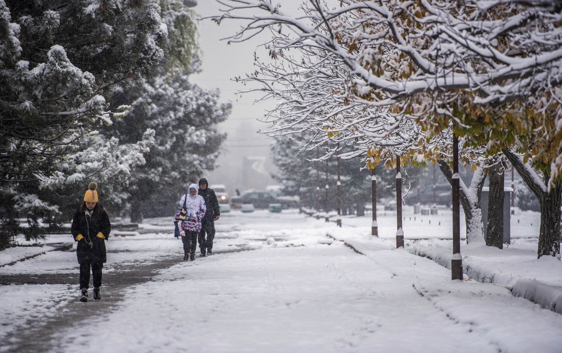 Снегопад в Бишкеке