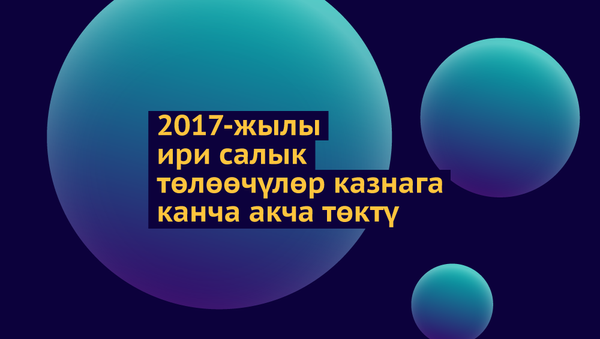 2017-жылы ири салык төлөөчүлөр казнага канча акча төктү - Sputnik Кыргызстан