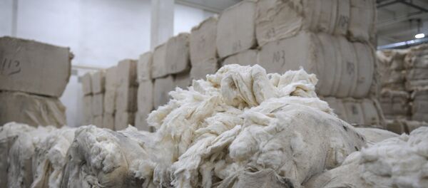 Санкт-Петербургская бумажная фабрика АО Гознак - Sputnik Кыргызстан