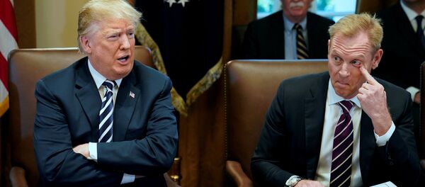 Заседание кабинета министров в Белом доме в Вашингтоне Заседание кабинета министров в Белом доме в Вашингтоне - Sputnik Кыргызстан