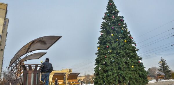 Жаңы жылга карата борбор калаада 20 балаты орнотулду - Sputnik Кыргызстан