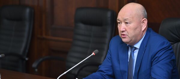 Вице-премьер-министр КР Жениш Разаков - Sputnik Кыргызстан