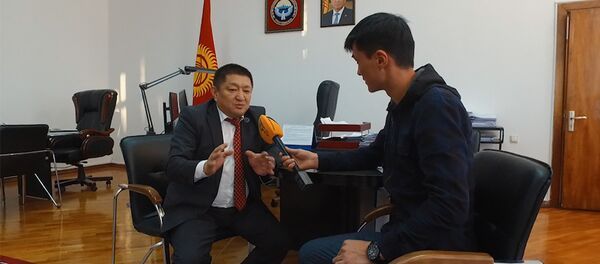 Кимиси калп айтууда? Министрликтеги 5,6 млн. сомдук унаалардын чуусу - Sputnik Кыргызстан