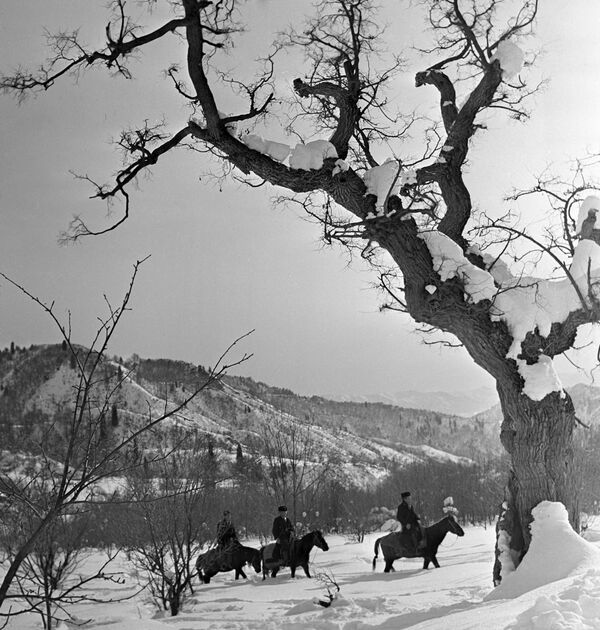 Лесники на лошадях объезжают места обитания зубров в Сары-Челекском заповеднике. - Sputnik Кыргызстан