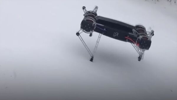 Бегут по льду, воде и под землей — новое поколение военных роботов. Видео - Sputnik Кыргызстан
