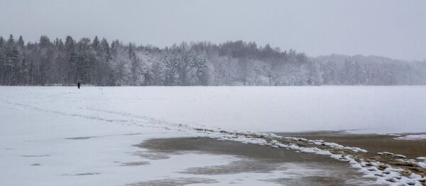 Токойдо жүргөн адам. Архив - Sputnik Кыргызстан