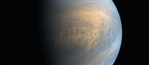 Фотография Венеры в оптическом и ультрафиолетовом диапазоне, полученная камерами зонда Акацуки. Архивное фото - Sputnik Кыргызстан