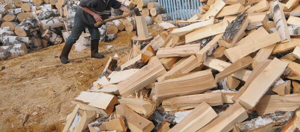 Отун жарып жаткан адам. Архив - Sputnik Кыргызстан