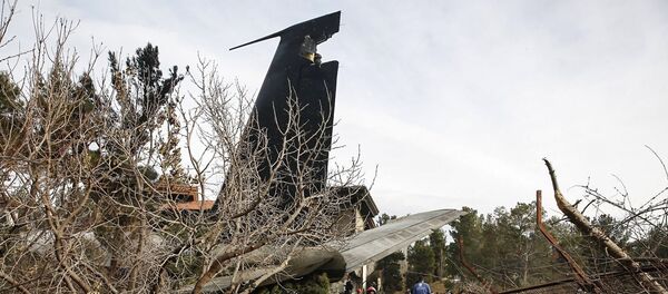 Бишкектен чыгып Ирандын Тегеран шаарына жакын жерге кулап, күйүп кеткен учак - Sputnik Кыргызстан