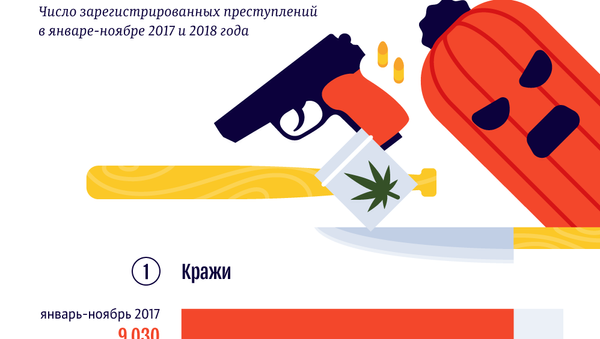 Как нарушали закон кыргызстанцы - Sputnik Кыргызстан