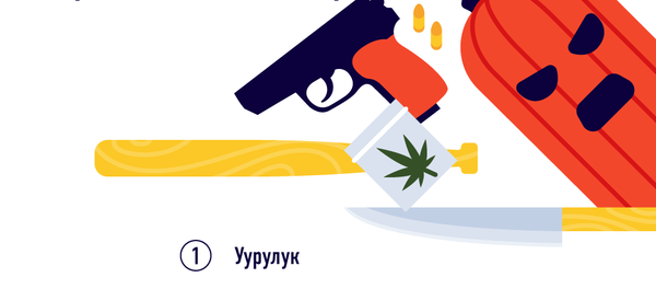 Кыргызстандыктар мыйзамды кантип бузушат - Sputnik Кыргызстан