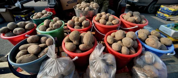 Продовольственная ярмарка на центральной площади Владивостока Продовольственная ярмарка на центральной площади Владивостока - Sputnik Кыргызстан