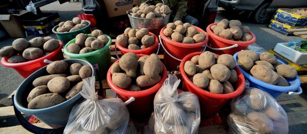 Продовольственная ярмарка на центральной площади Владивостока - Sputnik Кыргызстан