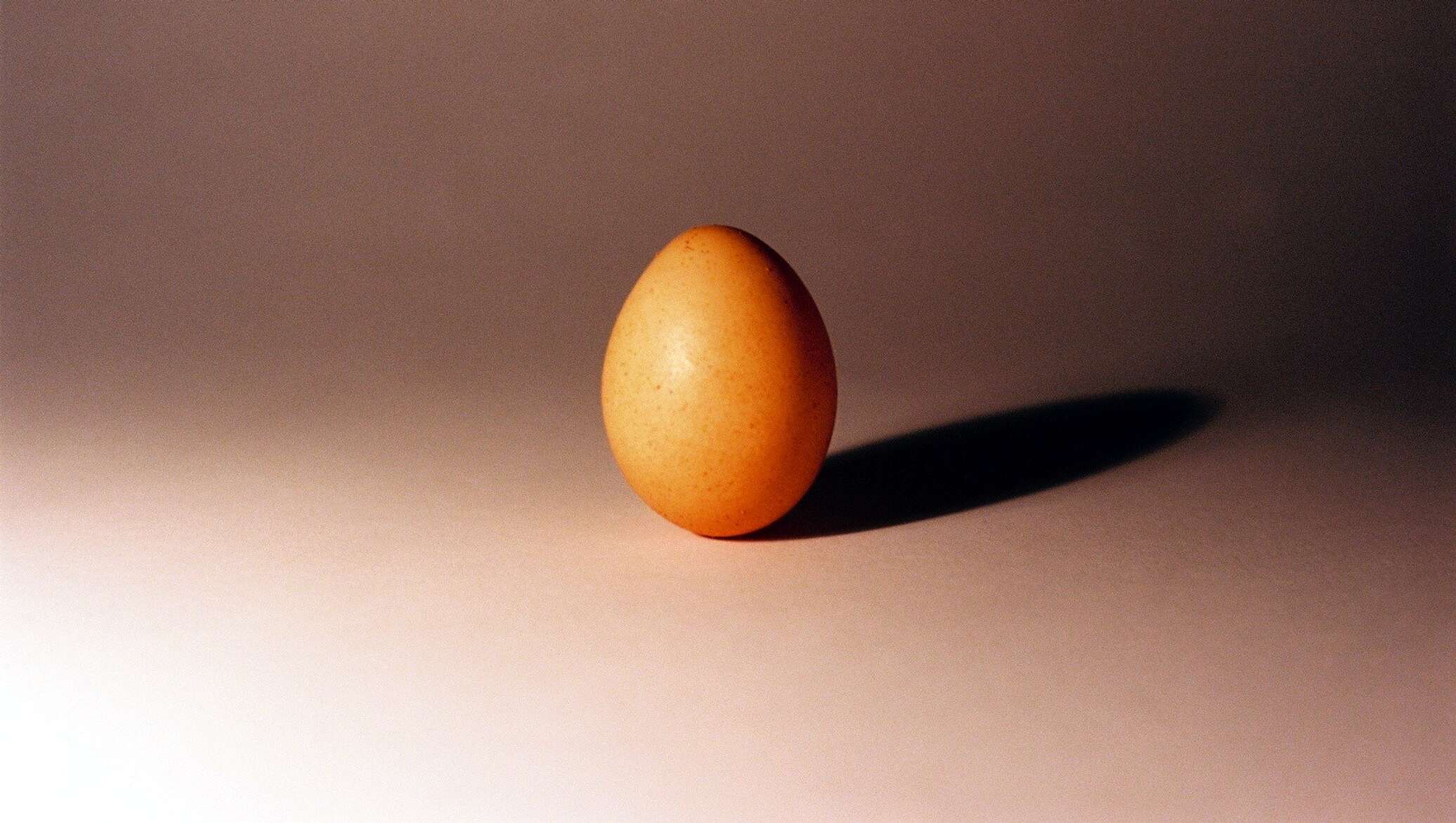 Яйца в профиль