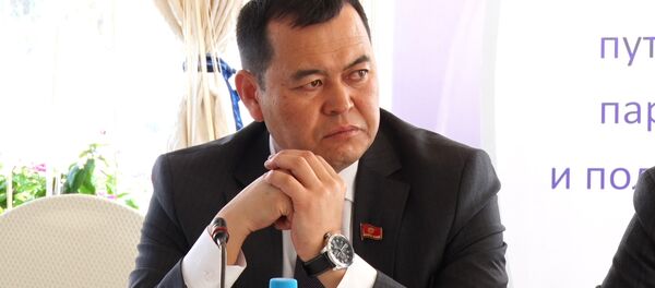 Вице-спикер ЖК Мирлан Бакиров - Sputnik Кыргызстан