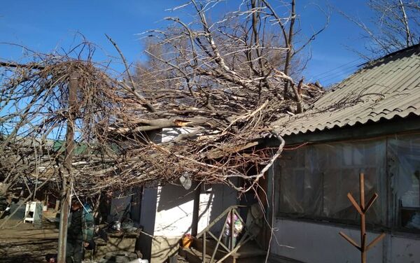 Сильный ветер повредил крыши некоторых домов в Токмоке - Sputnik Кыргызстан