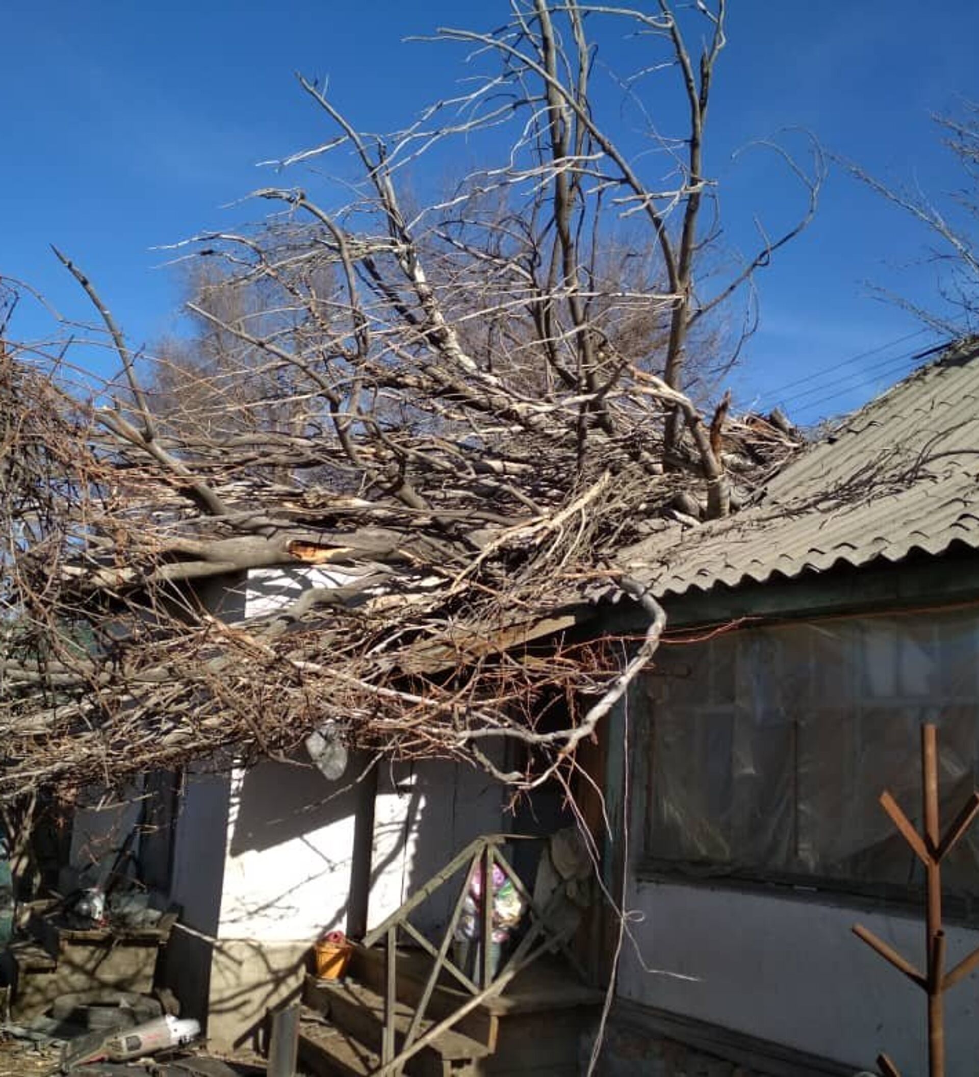 Ураган в киргизии. Повалены деревья повреждена кровля домов. Шквалистые ветры в Кыргызстане. Повалены деревья повреждена кровля домов зима. Упавшее дерево в Бишкеке.