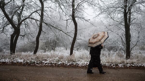 Мужчина во время снегопада с зонтом в руках. Архивное фото - Sputnik Кыргызстан